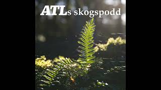 Statsvetaren med koll på skogspolitiken [upl. by Atilam]