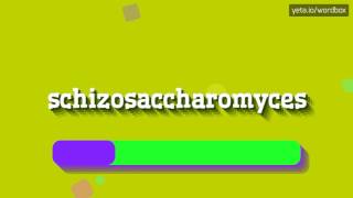 SCHIZOSACCHAROMYCES  HOW TO PRONOUNCE IT [upl. by Llennod810]