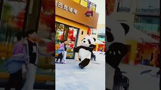 🐼 panda funny video shorts short yt ytshorts panda pandalover funny cute bear babyshorts [upl. by Inhoj]