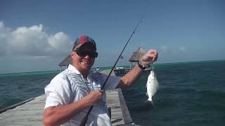 Fishing In Cuba on The Melia Pier Cayo Guillermo [upl. by Idnarb647]