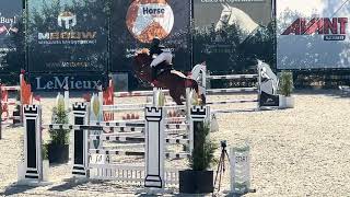 Six Gold 7yo Final CSI Bonheiden [upl. by Akcirederf]