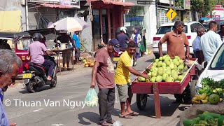 Sri Lanka  Colombo Suburbs Tour [upl. by Airdnna]