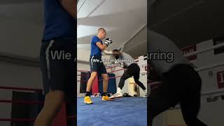 Leichtes Sparring 💀boxen boxing kampfsport fürdich fyp fy fürdich fürdichseite [upl. by Dymoke38]