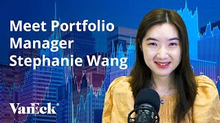 Meet Portfolio Manager Stephanie Wang [upl. by Tabshey972]