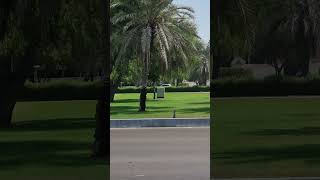 The green city in UAE youtubeshorts abudhabicityvibes abudhabi shortvideo [upl. by Neidhardt131]