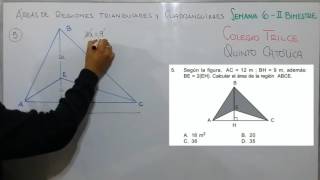 GEOMETRÍA  ÁREA DE REGIONES TRIANGULARES Y CUADRANGULARES [upl. by Eerpud217]