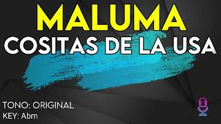 Maluma  Cositas De La USA  karaoke Instrumental [upl. by Darelle]