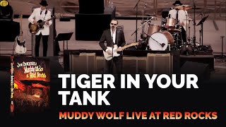 Joe Bonamassa Official  quotTiger In Your Tankquot  Muddy Wolf at Red Rocks [upl. by Brewer842]