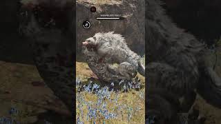 Hunting Snowblood Wolf Far Cry Primal  Full Video On This Channel shorts farcryprimal animals [upl. by William]