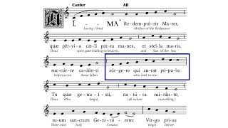 Alma Redemptoris Mater RepeatAfterMe Practice Track [upl. by Hannis947]