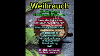 Weihrauch weihrauch gesundheit tips fürdich fyp diy vegan natur depression fitness [upl. by Deirdra]