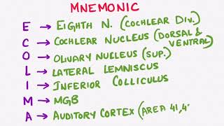 AUDITORY PATHWAY  ENT PHYSIOLOGY [upl. by Mary]