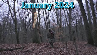 Squirrel Hunting Last Day Ohio 2024 PCP Air Rifle Smoked Series [upl. by Rodriguez]