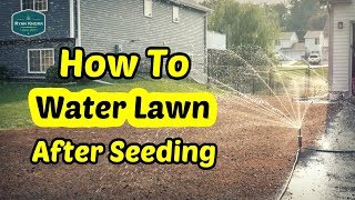 How To Water Your Lawn After Seeding [upl. by Dido]