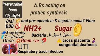 Aminoglycosides  مضادات حيوية تلخيص المحاضرة 🖐لدكتور عبد المتعال فودة [upl. by Tyoh]