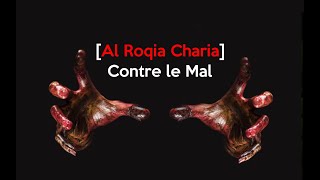 Magnifique voix calme et relaxante contre tout mal Roqia Complète [upl. by Isyak]