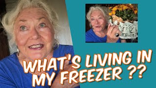 House Guests  Thrifting Therapy  Oppressive Heat  Moosie News  Over 60 [upl. by Tadeas]