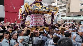 【HD高画質】三社祭 喧嘩 乱闘 二之宮 神輿 浅草神社 令和5年 2023年‎5月‎21日 [upl. by Sinnel148]