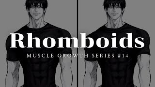 Rhomboid Muscle Growth Subliminal 🌟 Build Strong Defined Rhomboids Fast [upl. by Ellehcan926]