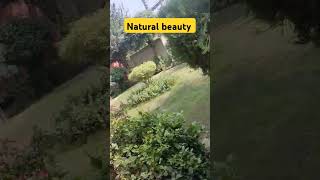 Natural beauty ytshorts shortsfeed [upl. by Samuelson]