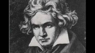 Ludwig van Beethoven  Funeral March Part 1 [upl. by Tina]