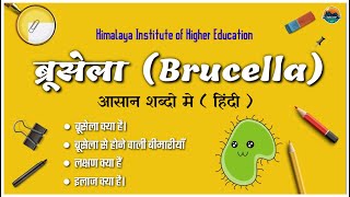 Brucella ब्रूसेला   Microbiology lecture Brucella disease symptoms pathogenesis  Microbiology [upl. by Saxen]