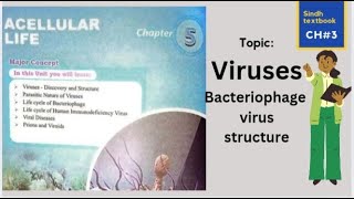 Structure of Bacteriophage virus 🦠 l XI biology l A cellular life [upl. by Hachmann756]