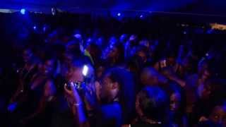 Larouge welkom all black party suriname 2013  2 [upl. by Keelin730]