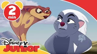 Løvenes garde  På safari med Bunga  Disney Junior Norge [upl. by Claudelle841]