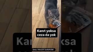 Kanıt yoksa cezada yok😂 Akıllı Bıdık 😂 [upl. by Annaira]