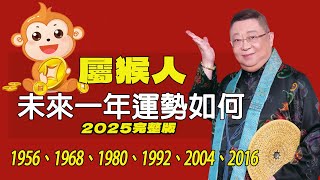 屬猴2025年的運勢及運程 生肖猴的人2025年全年運勢詳解【佛語】運勢 風水 佛教 生肖 佛語 [upl. by Gilly814]