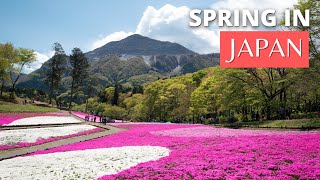 Spring Day Trip in Chichibu Japan  Temples amp Sakura near Tokyo [upl. by Diraf]