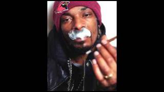 Snoop Dogg  Freestyle [upl. by Neetsuj]