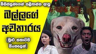 බලු අවතාරය  sinhala movie review  full movie sinhala  Horror movie  holman katha [upl. by Lokkin]