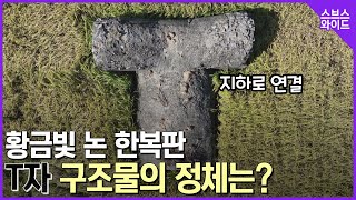 스브스와이드도 처음본 기이한 구조물 미스터리 [upl. by Odrareg797]