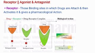 Receptor  Agonist amp Antagonist  Types of Antagonist Pharmacology [upl. by Fowle620]