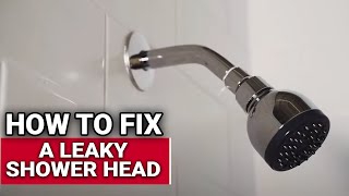 How To Fix A Leaky Shower Head  Ace Hardware [upl. by Gold907]