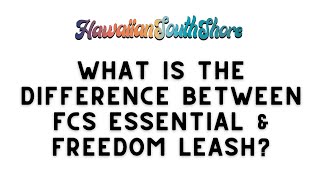 Surfing Leash 101  Learn More About FCS Essential and Freedom Leash [upl. by Susie]