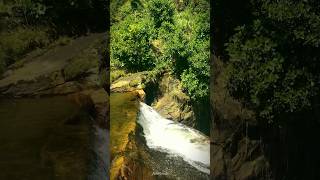 📍Gartmore Falls Sri Lanka 🇱🇰 travel nature shortvideo shortsfeed shorts short [upl. by Adnocahs]