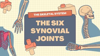 The Skeletal System 6 Synovial Joints in Human Body Science Learning Video [upl. by Nevetse]