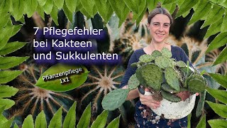 7 Pflegefehler bei Kakteen und Sukkulenten Pflanzenpflege 1x1 [upl. by Issiah]