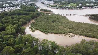 Coomera River flooding in Coomera 3 Gold Coast Australia 28 Feb 2022 [upl. by Ttevy]