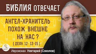 НАШ АНГЕЛХРАНИТЕЛЬ ВНЕШНЕ ПОХОЖ НА НАС  Иеромонах Нектарий Соколов [upl. by Ahsinehs]