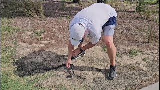 Rescuing a snake on the golf course in The Villages Florida [upl. by Ring747]