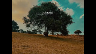 Luvos soul  family tree official video [upl. by Eleumas]