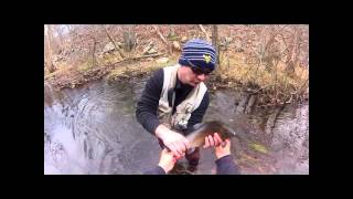 FALL TROUT FISHING ON WANAQUE RIVER WITH DIEHARDOUTDOORSCOM [upl. by Kenzi]