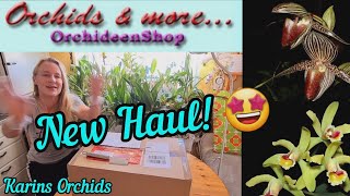 Orchids and more Orchid Haul  Unboxing video [upl. by Aikas]