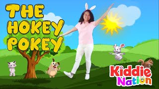 The Hokey Pokey action song with lyrics [upl. by Eatnhoj]