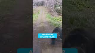 The terrifying moment an angry bear breaks a trucks windscreen has been captured on camera in Japan [upl. by Adleme]