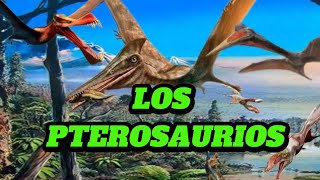 LOS PTEROSAURIOSLOS REYES DE LOS CIELOS EN EL JURÁSICO [upl. by Drews]